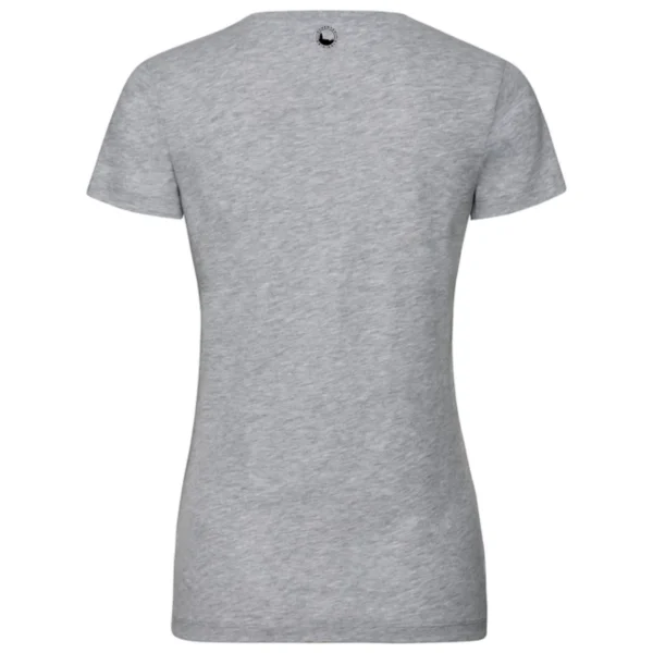 Dames T-shirt grijs Deventer Originals logo achterkant